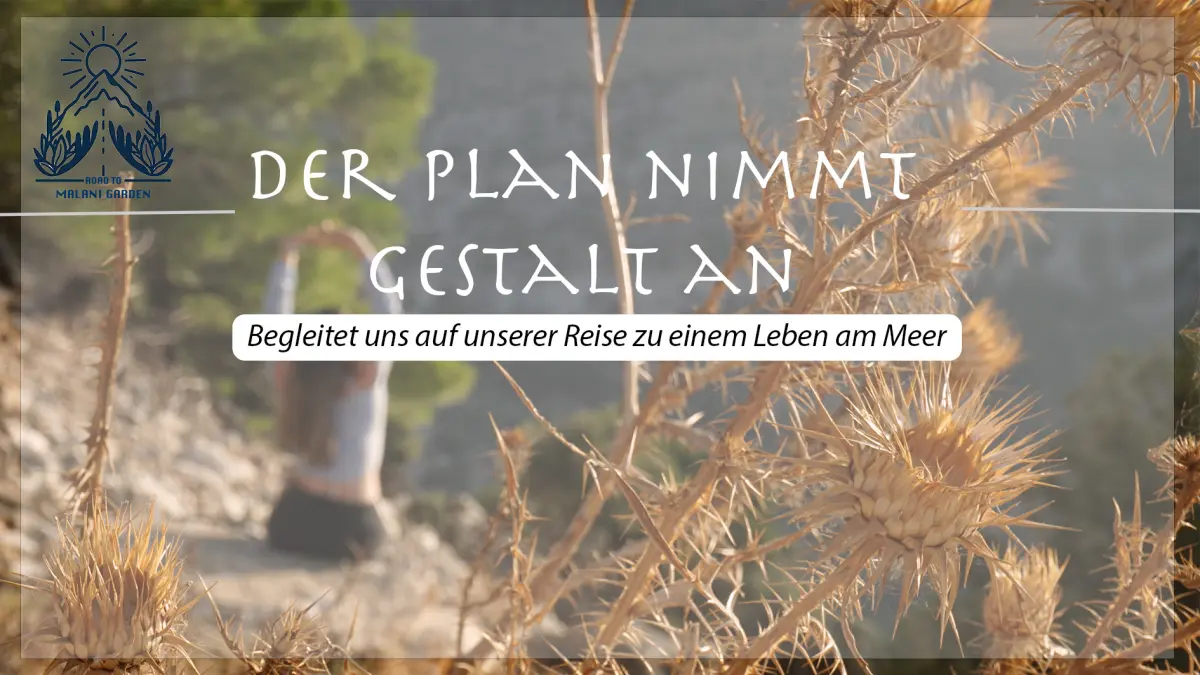 Der Plan nimmt Gestalt an
